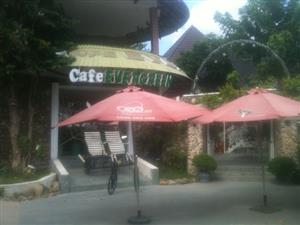 EVERGREEN CAFE TUYỂN NỮ PHỤC VỤ