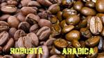 Phan-biet-ca-phe-Arabica-va-Robusta
