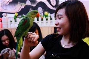 Babo coffee, quán cà phê thú cưng độc và lạ