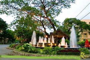 Rose Cafe, quán cà phê đẹp tại Quận 10
