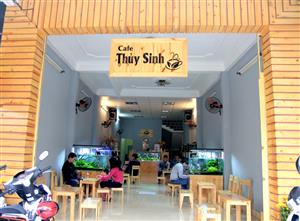 Cafe Thủy Sinh, quán cà phê đẹp tại Đà Nẵng