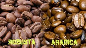 Phân biệt cà phê Arabica và Robusta