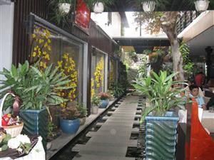 Ân Nam coffee, quán cà phê đẹp tại quận 3
