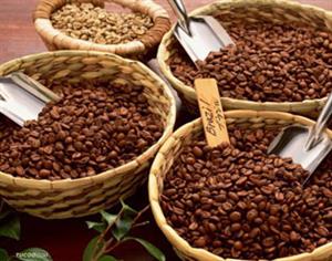 Những dự báo về mùa vụ cà phê 2014-15 của Braxin sau hạn hán