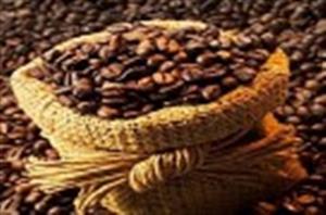 Các nhân tố ảnh hưởng đến xuất khẩu cà phê