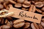 Robusta-Coffee