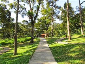 Du lịch Penang và Penang Botanic Gardens địa danh nổi tiếng
